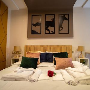 R101- Cosy And Stylish Apartment With King Size Bed- Belvedere