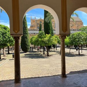 Precioso Apartamento Junto A La Mezquita