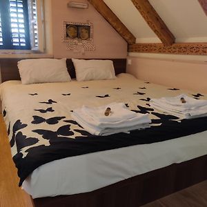 Apartman Dominus