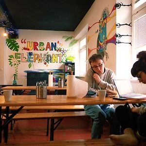 Urban Elephants Hostel