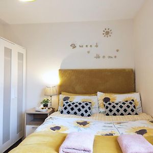 City Centre Vintage Theme Guest Rooms Free Parkin