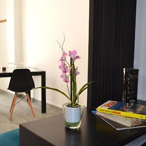 Appartement de Luxe à 1 Chambre à Coucher