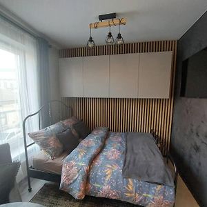 Walowa Stylowe Studio Krakow