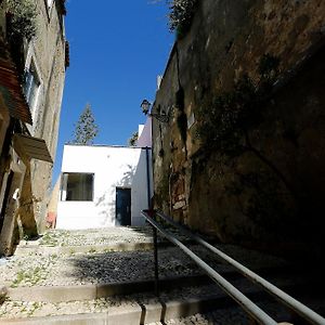 New Lisbon Downtown Houses