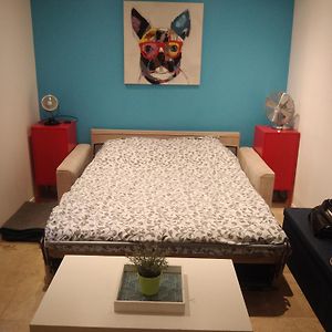 Le Saint Louis Blue Bulldog