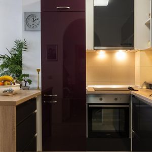 Renovated City Center Apart Roberto