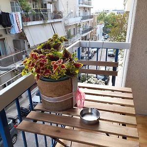 Eleni'S House Near To Thisio