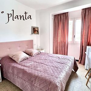 Chambre Standarde Lit King-Size