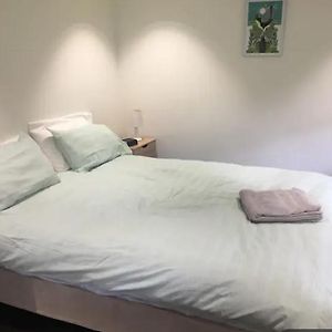 Kingsland Studio - Walk To Eden Park!
