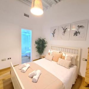 Centrico Apartamento En Malaga