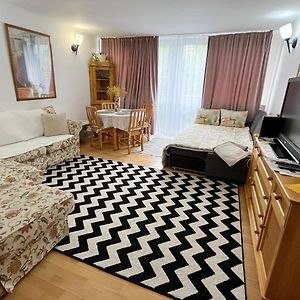 Appartement à 1 Chambre à Coucher
