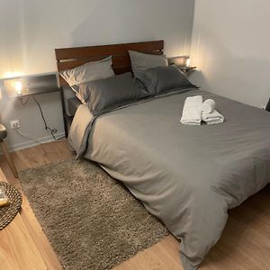 Studio Le Central 350 M De Gare Lyon Part-Dieu, Navette Stade Et Arena ,Eurexpo Aeroport- Bus Direct Centre Ville