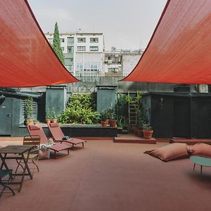 Piulet Hostel