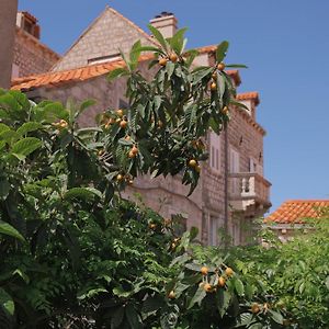 Old Town Green Oasis House