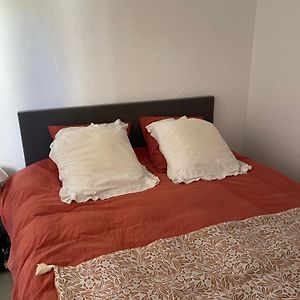 T2 Cosy Proche De La Mer