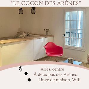 Cocon au pied des arènes d'Arles