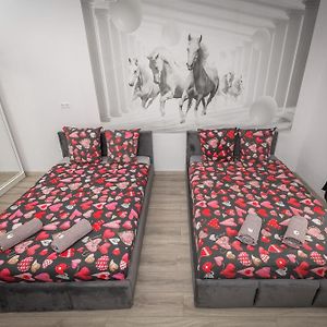 Chambre Standarde Double
