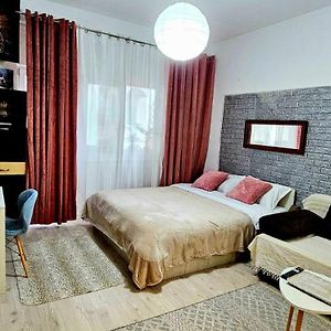 Appartement à 1 Chambre à Coucher
