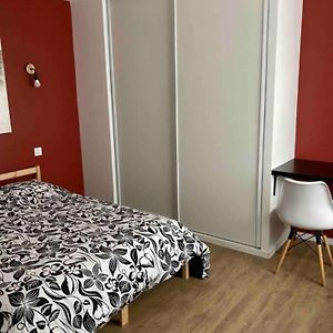 Centre Quimper, Animaux Declares Acceptes