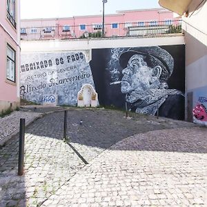 Estrela Delight By Homing