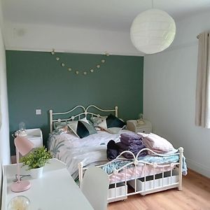 Galway Garden Chalet
