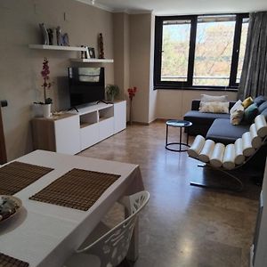 Apartamento En La Ciudad De Las Artes Y Las Ciencias