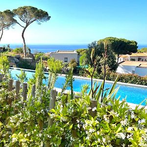 Villa Avec Jardin Et Piscine