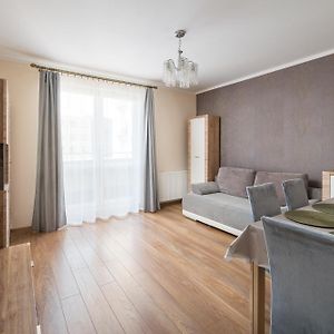 Wola Radziwie Homely Apartment
