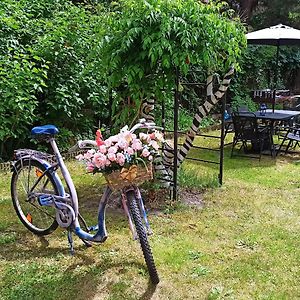 Willa Retro Hostel & Garden