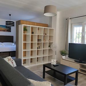 Loft Malaga Montes