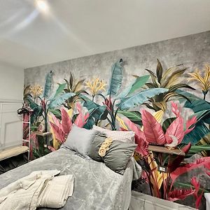 Appartement Rez-de-Chaussée