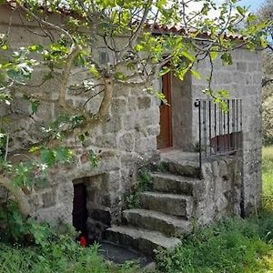 Maison 1 Chambre