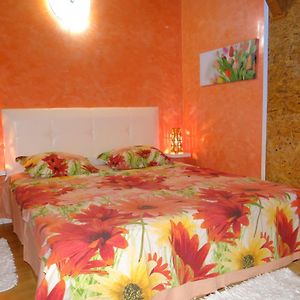 Orange Flower Apartments