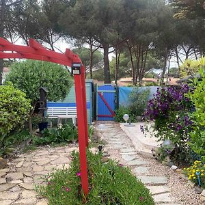 Appartement jardin Cap d'Agde