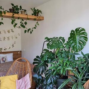 Kyiv Jungle Apartment