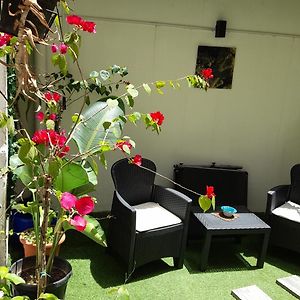 Garden Suite Apartment