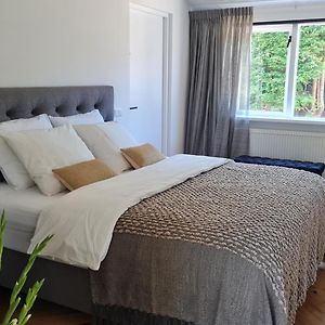 Appartement de Luxe à 1 Chambre à Coucher