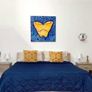 Chambre Standarde Lit King-Size