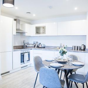 Luxury Lavish City Duplex Apartment
