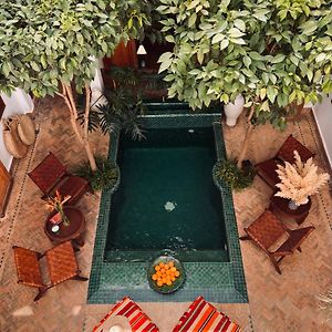 Riad Prive Sadaka Bassin Rooftop