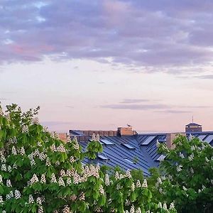 Appartement à 1 Pièce