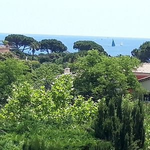 Le Gecko Sea View