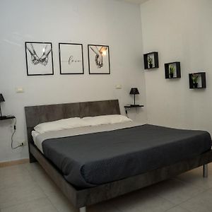 Lion'S Room
