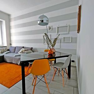 Elegant Smart Suite With Free Parking