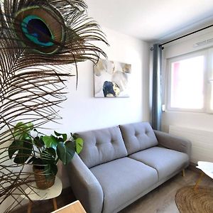 Home Suite Metz & Place De Parking Privee