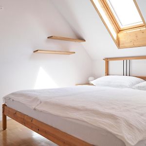 Ljubljana City Dragon Apartment