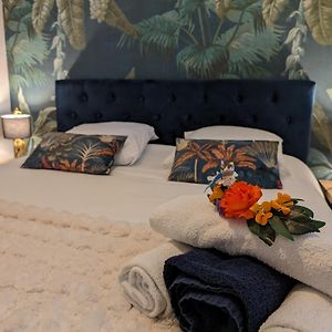 Appartement Cosy Au Calme A Cote Du Zoo Avec Balcon Et Parking Securise