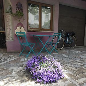 Petit Paradis Croneuva