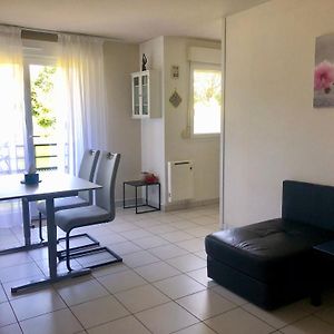 Appartement Au Calme Nature Et Centre Ville