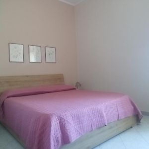 Federica'S House